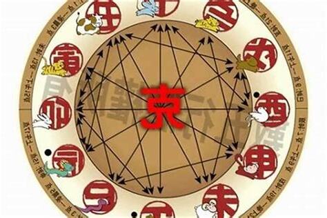 95年是什麼豬