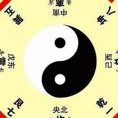 坐巳向亥九運