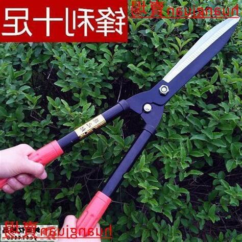 樹剪推薦