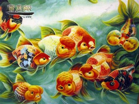 招財九魚圖桌布