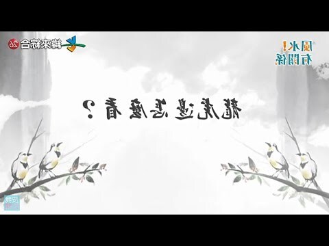 房子龍虎邊