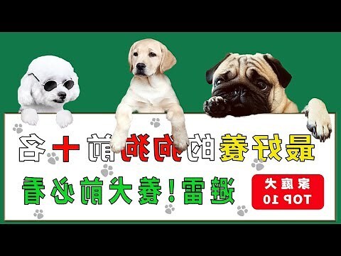 適合家裡養的狗