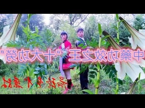 十大功勞禁忌