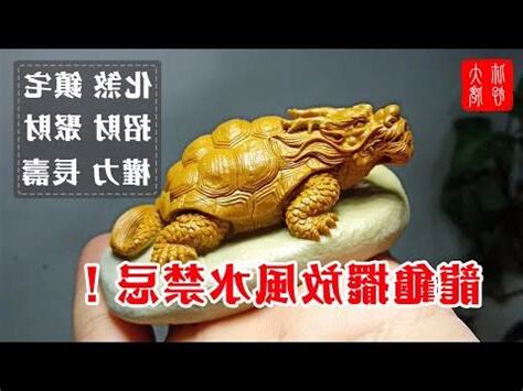 龍龜淨化
