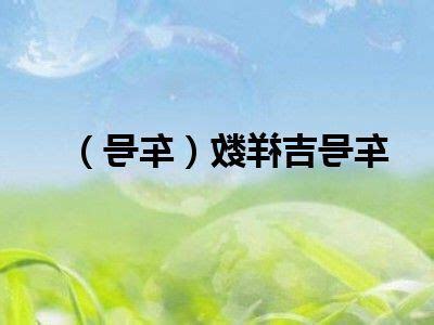 車號吉祥數字