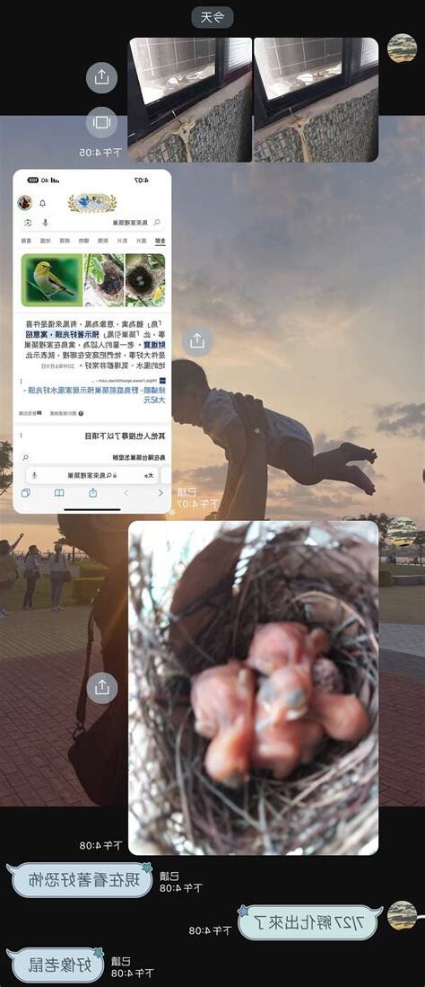 家裡有鳥來築巢