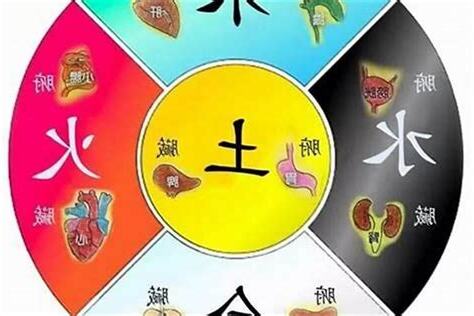 屬金木水火土