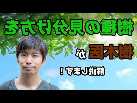 樹種類