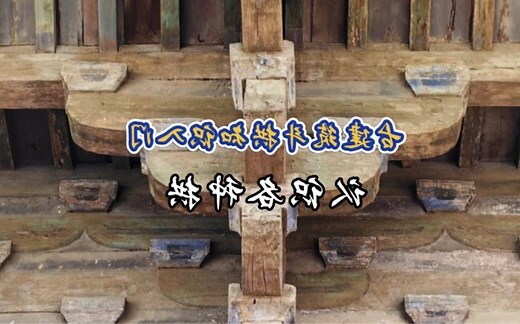 拱的意思