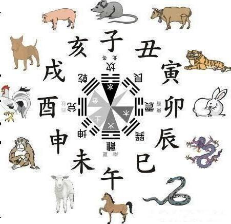 馬的五行