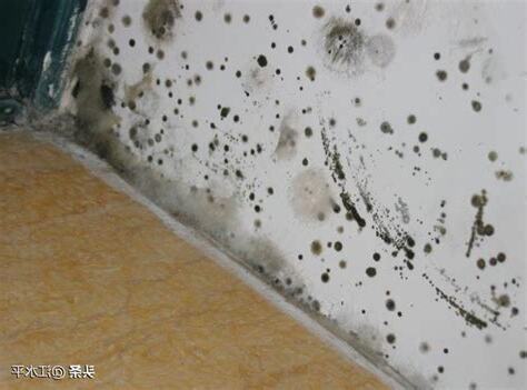 牆角發霉