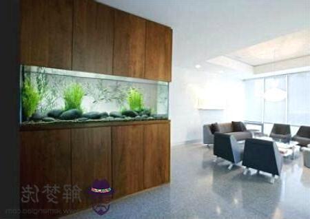 公司魚缸擺放位置