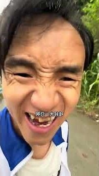 遇到蜘蛛