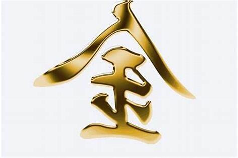 代表金的字