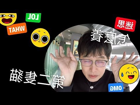養一隻貓還是兩隻