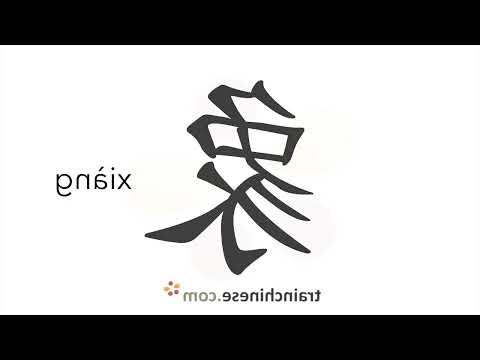 象的寓意
