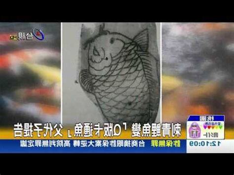 鯉魚意思