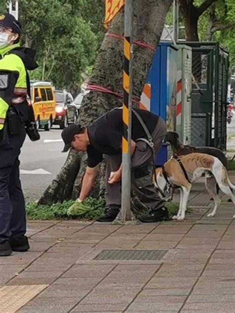 採到狗大便