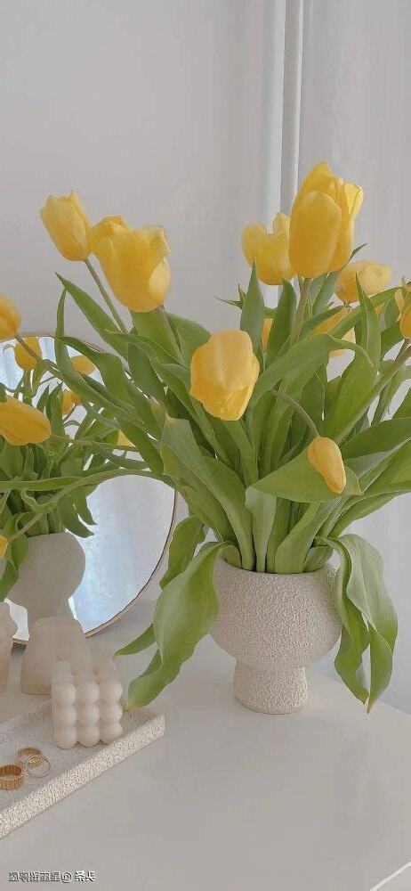 家裡桃花位