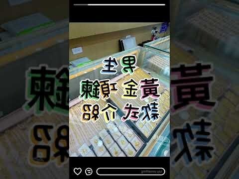 金項鍊好處