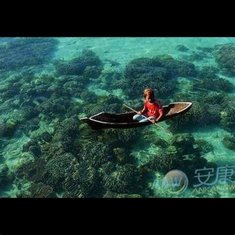 夢見在水裡