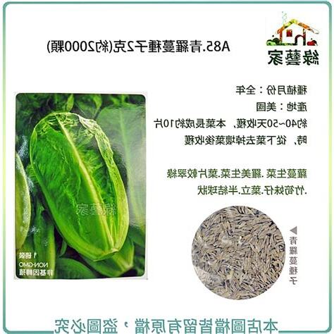 初學者種菜