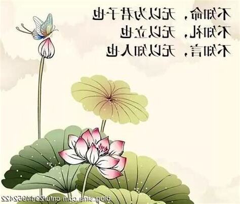 無子命