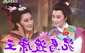泥馬渡康王