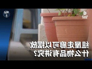 走廊放鞋