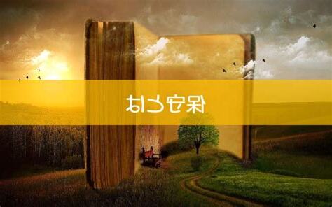 保守意思