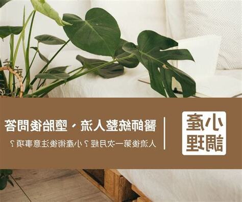 人流後第一次月經