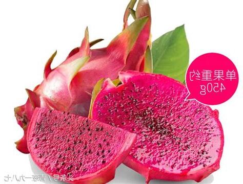 火龍果葉子可以吃嗎