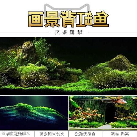魚缸背貼
