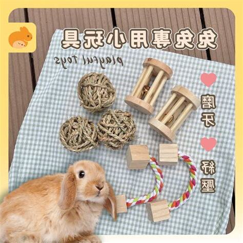 養小動物