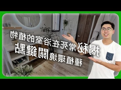 適合種在浴室的植物