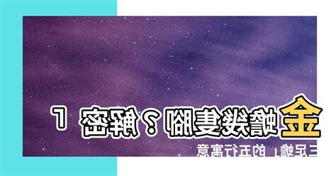 蟾蜍幾隻腳