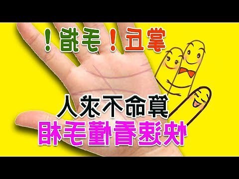 手相大拇指下方