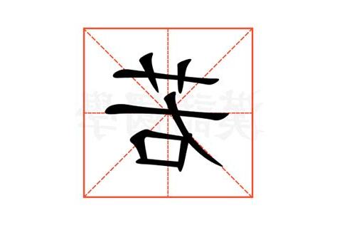 若字意思