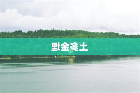 土多金埋化解