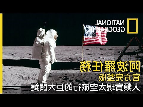 阿波羅樹