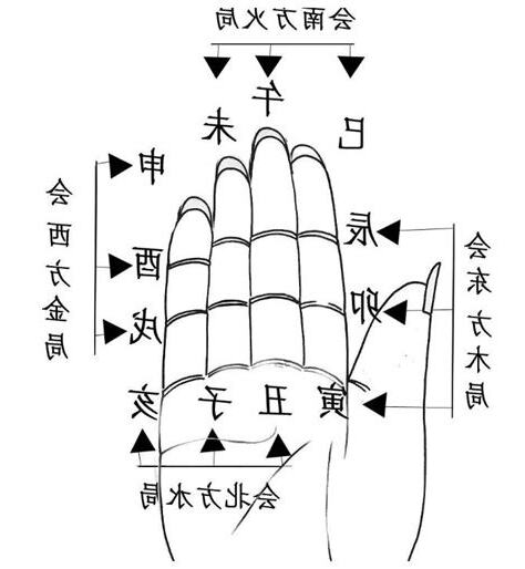 地支掌訣