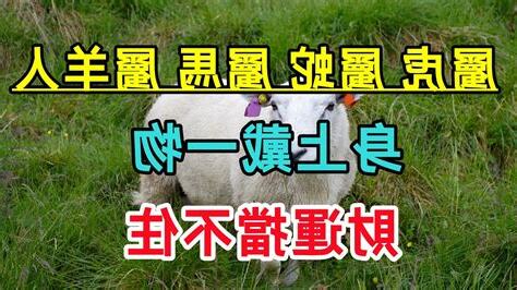 屬虎屬馬