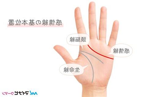 感情線上方橫線