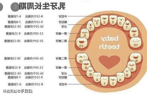 大牙位置