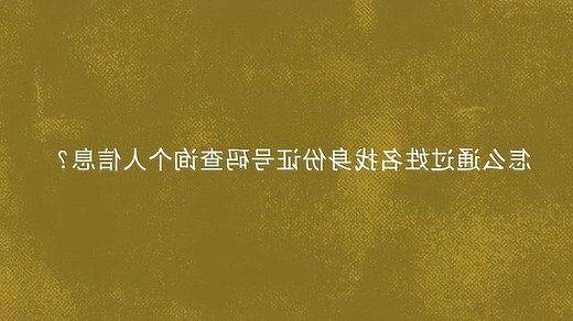 名字意思查询
