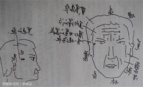 懸針