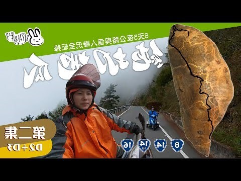 水兔寶寶