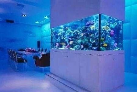 魚缸放哪裡好