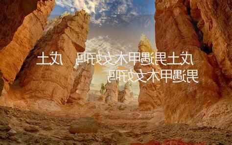 戊土男甲木女