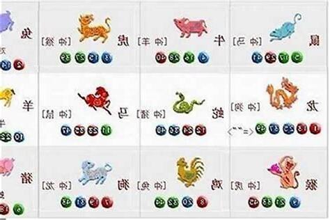 12生肖合